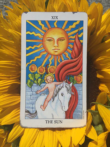 Daily Tarot